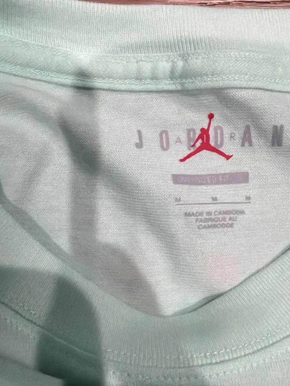 Jordan Short Sleeve Tee in Mint Green with Small Pink Logo